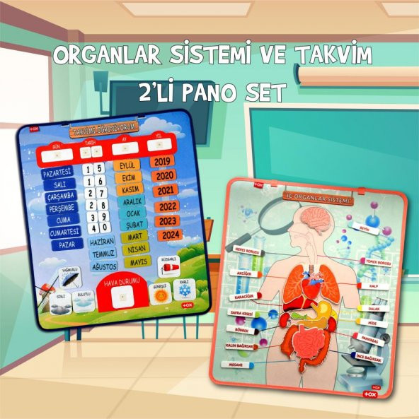 2 Set - 69 Parça  İç Organlar ve Takvimi Öğreniyorum Keçe Cırtlı Duvar Panoları , Eğitici Oyuncak - 2
