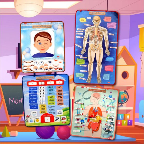 4 Set  127 Parça  İskelet , İç Organlar Sistemi , Takvim ve Duyguları Öğreniyorum Keçe Cırtlı Duvar Panoları , Eğitici Oyuncak - 7