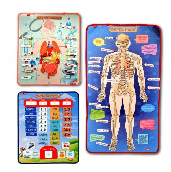 3 Set -106 Parça  İç Organlar , İskelet  Sistemi ve Takvimi Öğreniyorum Keçe Cırtlı Duvar Panoları , Eğitici Oyuncak - 6
