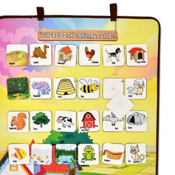 İngilizce Hayvanlar ve Yaşam Alanları Keçe Cırtlı Duvar Panosu , Eğitici Oyuncak - Resim 10