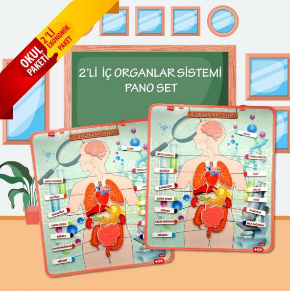 2 Set - 52 Parça İç Organlar Sistemi Keçe Duvar Panoları , Eğitici Oyuncak - 2