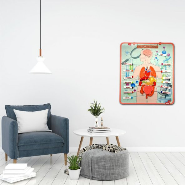 2 Set - 52 Parça İç Organlar Sistemi Keçe Duvar Panoları , Eğitici Oyuncak - 4