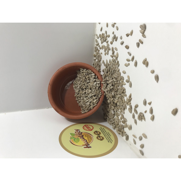 Ay Çekirdeği İçi Tombul 2500 GR - 2
