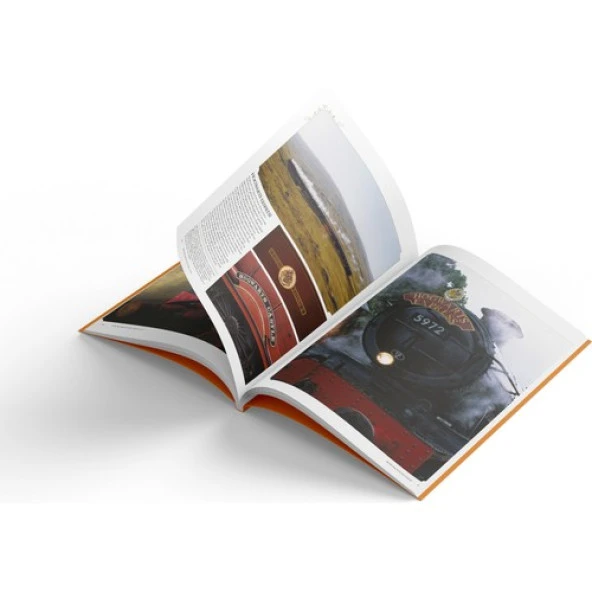 Film Dehlizi Kitap 2: Diagon Yolu, Hogwarts Ekspresi ve Sihir Bakanlığı (Karton Kapak) - 2