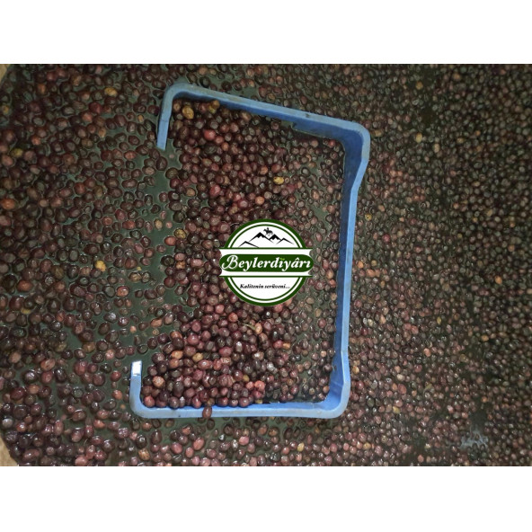 BEYLER DİYARI Star X Zeytin 10 KG - 2