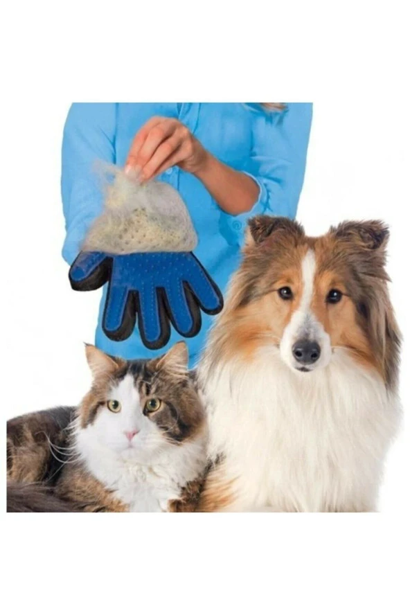 12 Rulo 180 Parça Poşet Içerir Köpek Kaka Poşeti Ve Köpek Kedi Tüy Toplama Eldiveni Hediye - Resim 2