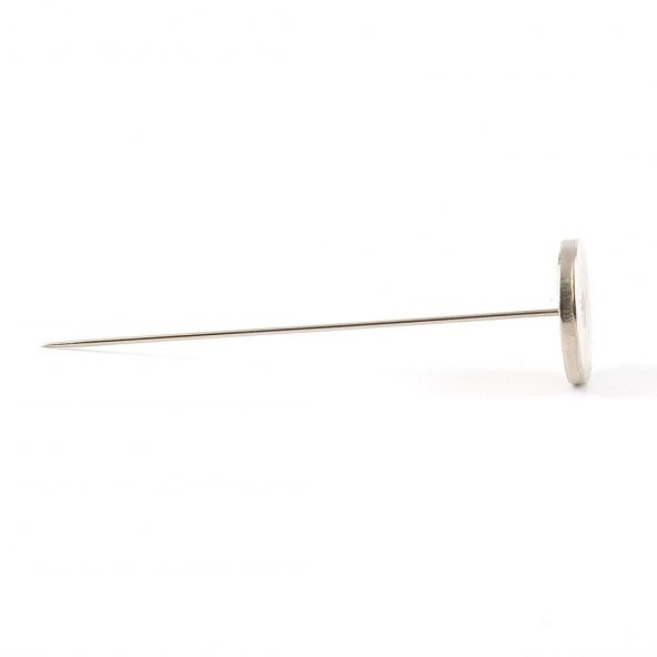 Pastal İğnesi 12 cm - 2