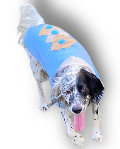 Triple Light Blue Kapşonlu Sweatshirt Orta ve Büyük Irklar İçin - 4