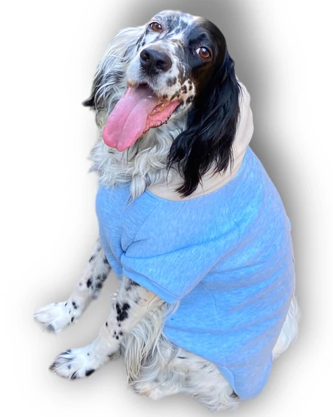 Triple Light Blue Kapşonlu Sweatshirt Orta ve Büyük Irklar İçin - 3