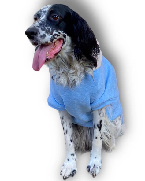 Triple Light Blue Kapşonlu Sweatshirt Orta ve Büyük Irklar İçin - 2