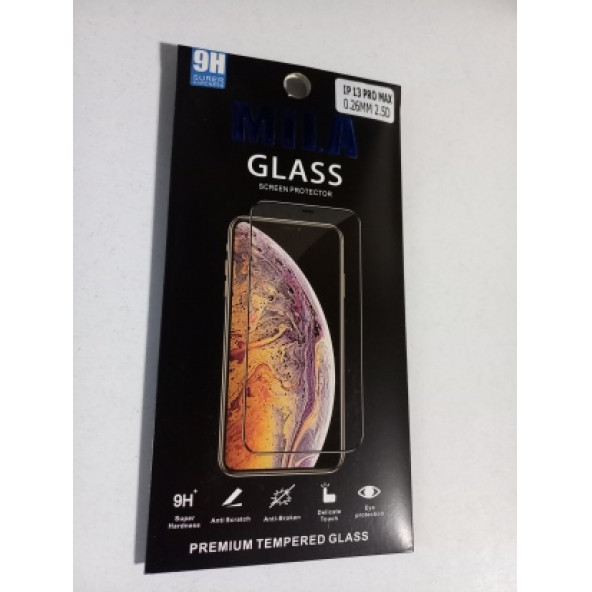 ASLANTİC İPHONE 13 PRO MAX 9H KIRILMAZ CAM KORUYUCU