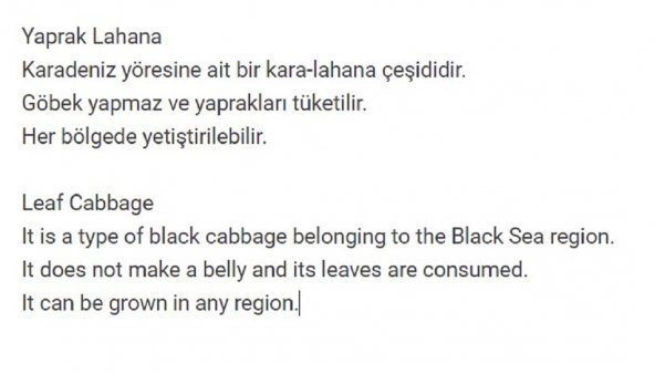 Ata Tohumu Yöresel Kara Lahana Karadeniz Lahanası, Yaprak Lahana 100 Adet Tohum - 2
