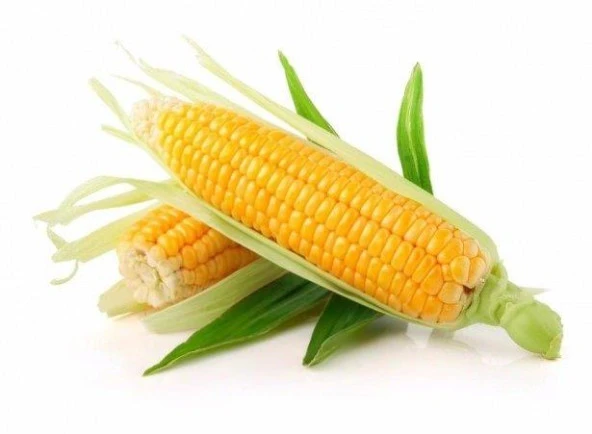 Yerli Ata Tohumu Mısır 25 Gr