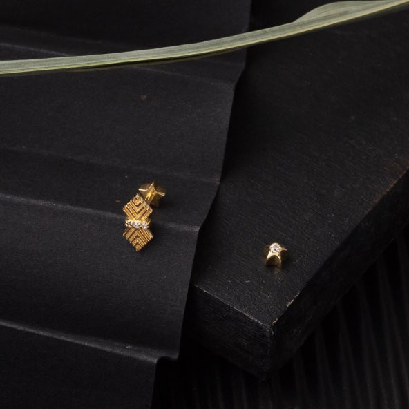 Amazon 14 Ayar Altın Tragus Küpe - 4