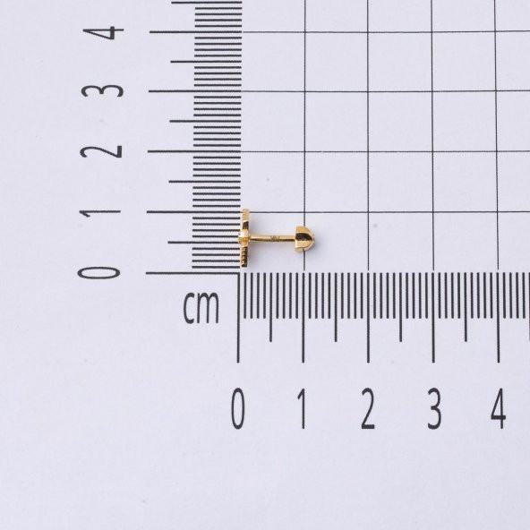 Amazon 14 Ayar Altın Tragus Küpe - 5