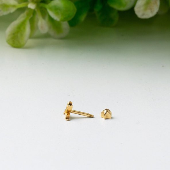 Minik Kuş 14 Ayar Altın Tragus Küpe - 3