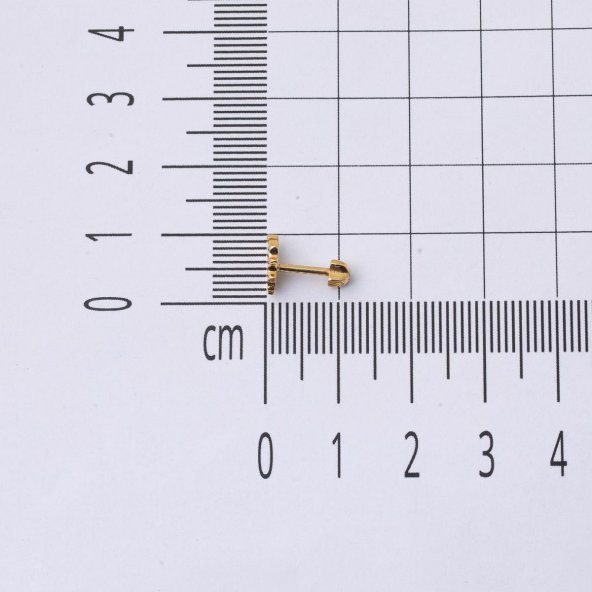 Minik Kuş 14 Ayar Altın Tragus Küpe - 5