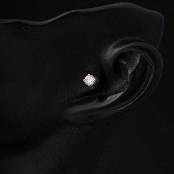 Tektaş 14 Ayar Altın Tragus Küpe - 2
