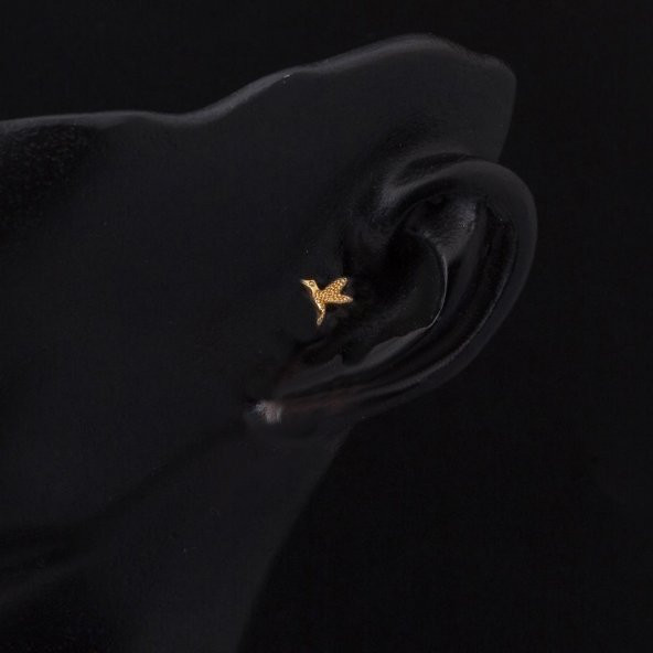 Minik Kuş 14 Ayar Altın Tragus Küpe - 2