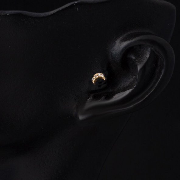 Hilal 14 Ayar Altın Tragus Küpe - 2