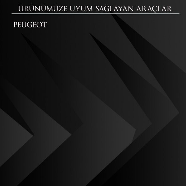 Peugeot için Kumanda Düğmesi - 3 Buton - 2