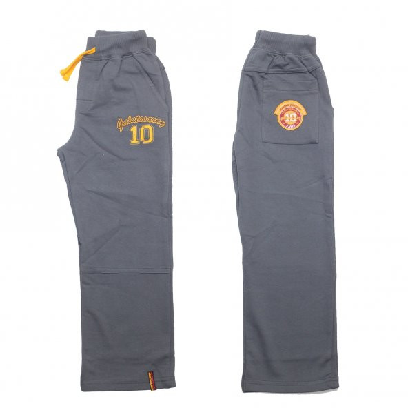 Galatasaray Lisanslı Eşofman Altı Arka Cepli - 2