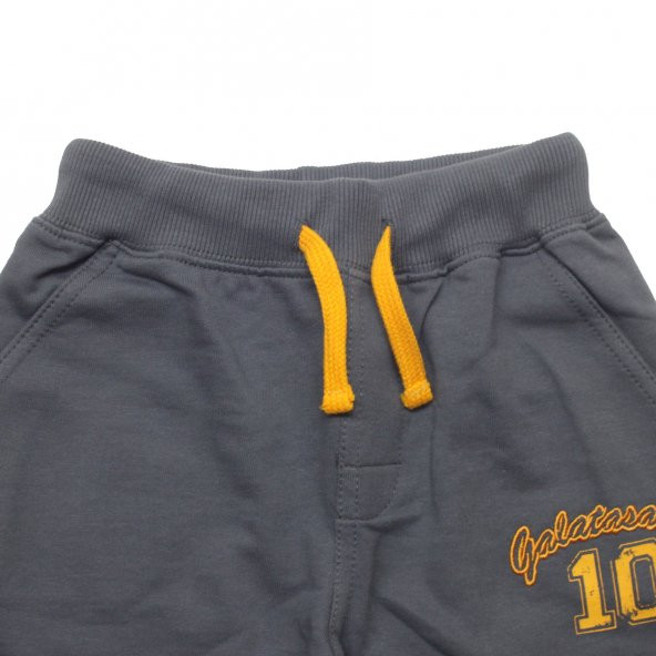 Galatasaray Lisanslı Eşofman Altı Arka Cepli - 3