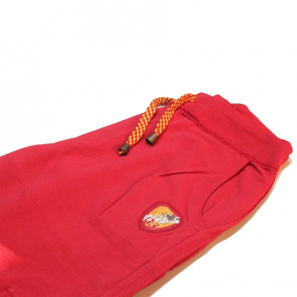 Galatasaray Lisanslı Eşofman Altı Yandan Cepli - 4