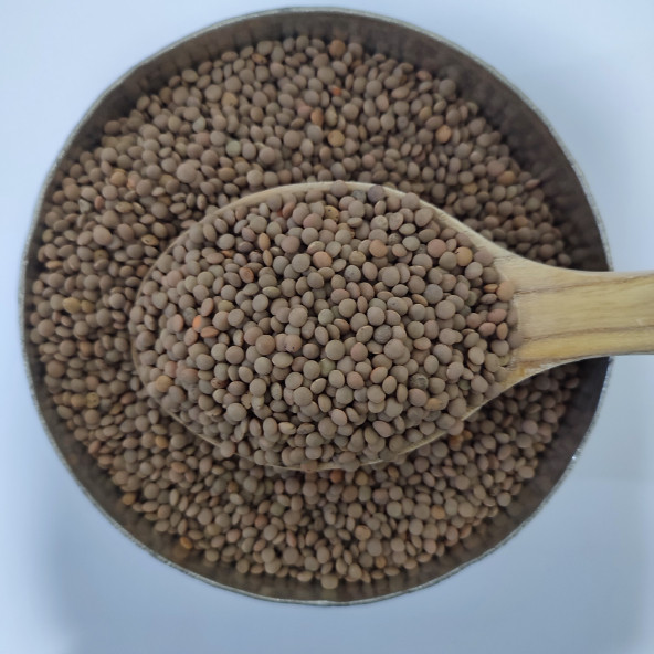 2023 Hasat Yerli Siyah Mercimek 1 kg - 2
