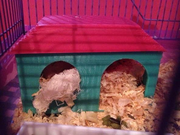 Hamster Evi Plastik Aparat