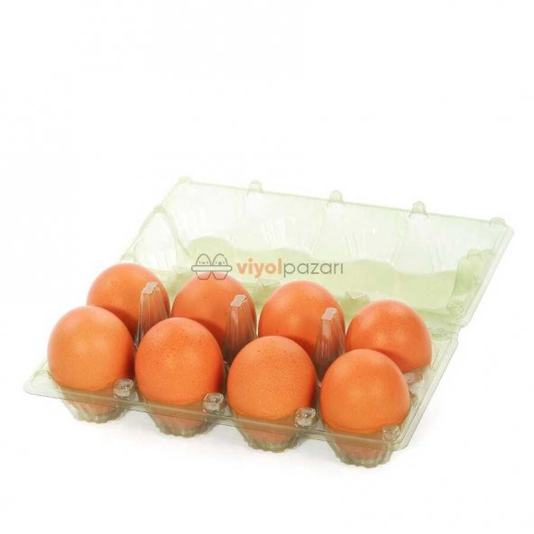 8 Li Yeşil Yumurta Viyolü 800 Adet - Resim 2