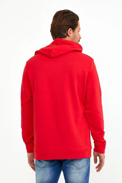 Süperlife Erkek Kapşonlu Regular Fit Tokyo Baskılı İnce Sweatshirt SPR22SW164 - Resim 11