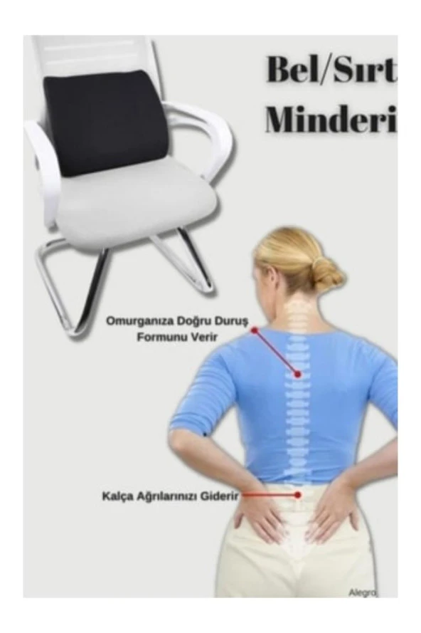Tam Ortopedik Sırt Minderi Bel Yastığı Destek Dik Duruş Desteği - 3