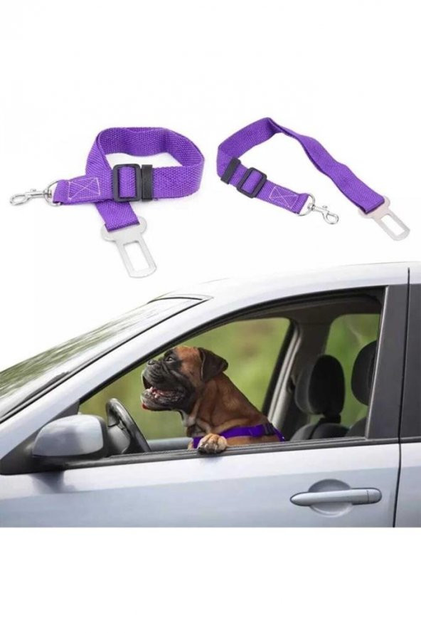 Araba Renkli Köpek Kedi Tasması Emniyet Kemeri Oto Evcil Hayvan Boyun Araç Tasması Kemeri - 2