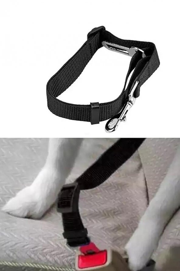 Araba Renkli Köpek Kedi Tasması Emniyet Kemeri Oto Evcil Hayvan Boyun Araç Tasması Kemeri - 2