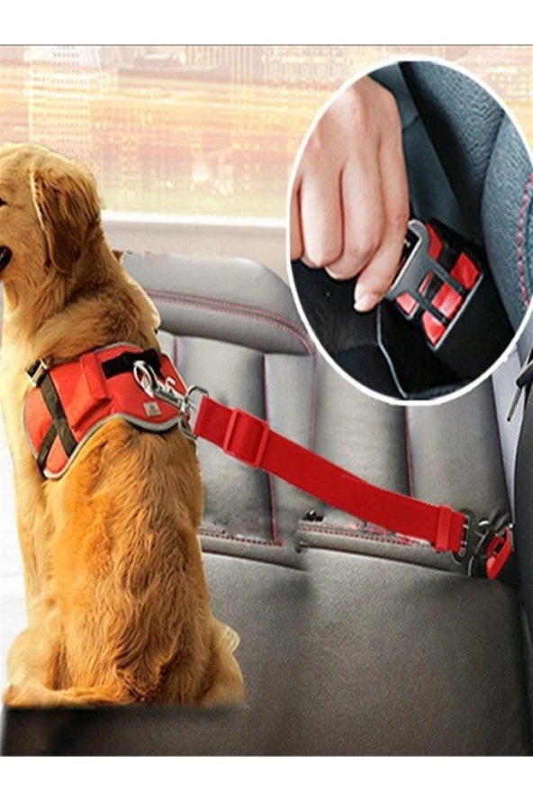 Araba Köpek Emniyet Kemeri Oto Evcil Hayvan Araç Tasması Kemeri
