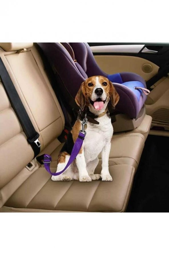 Araba Köpek Kedi Tasması Emniyet Kemeri Oto Evcil Hayvan Boyun Araç Tasması Kemeri - 3