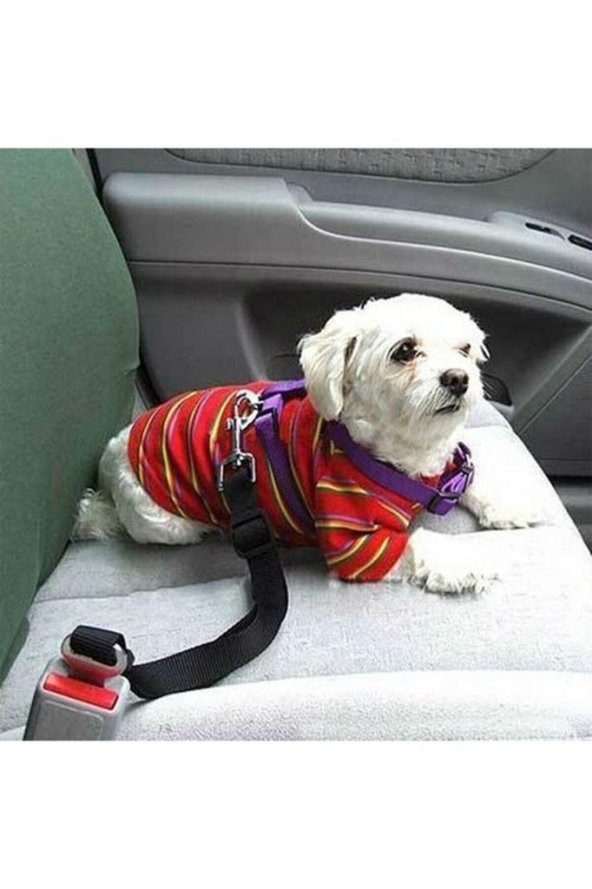 Araba Köpek Tasması Emniyet Kemeri Oto Evcil Hayvan Boyun Araç Tasması Kemeri - 4