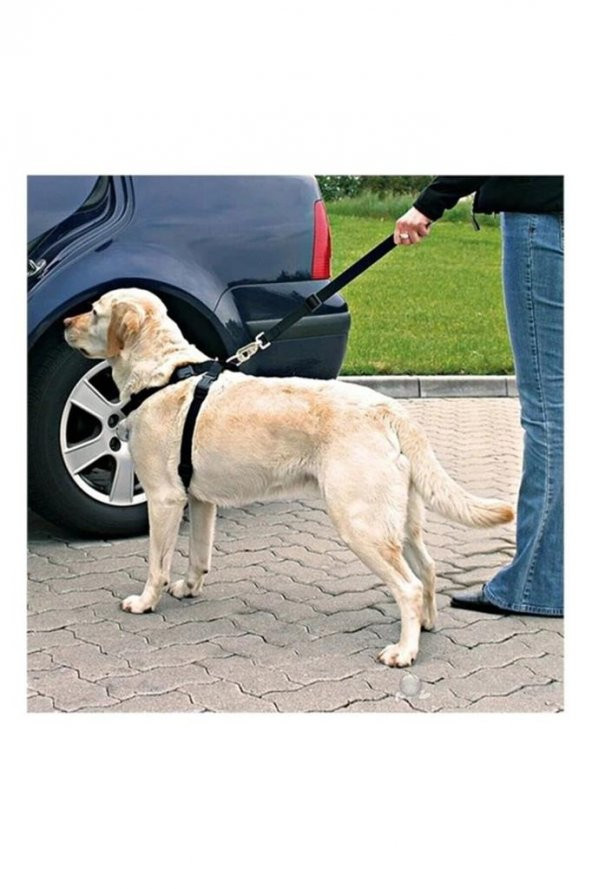 Araba Köpek Kedi Tasması Emniyet Kemeri Oto Evcil Hayvan Boyun Araç Tasması Kemeri