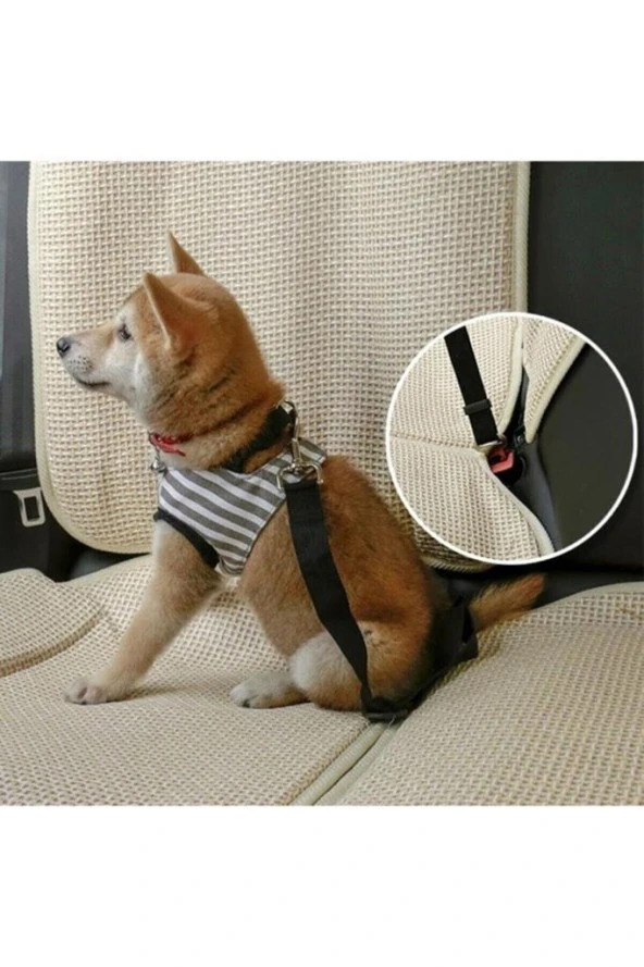 Araba Köpek Emniyet Kemeri Oto Evcil Hayvan Araç Tasması Kemeri - 4