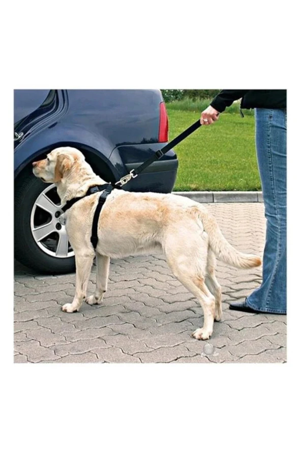 Evcil Hayvan Kedi - Köpek Araç Emniyet Kemeri 2 Adet Köpeğinizitutun - 3