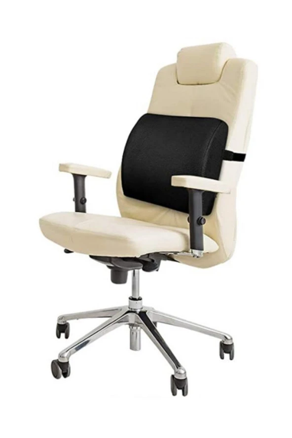 Sırt Minderi Bel Yastığı Destek Dik Durus Desteği - 2