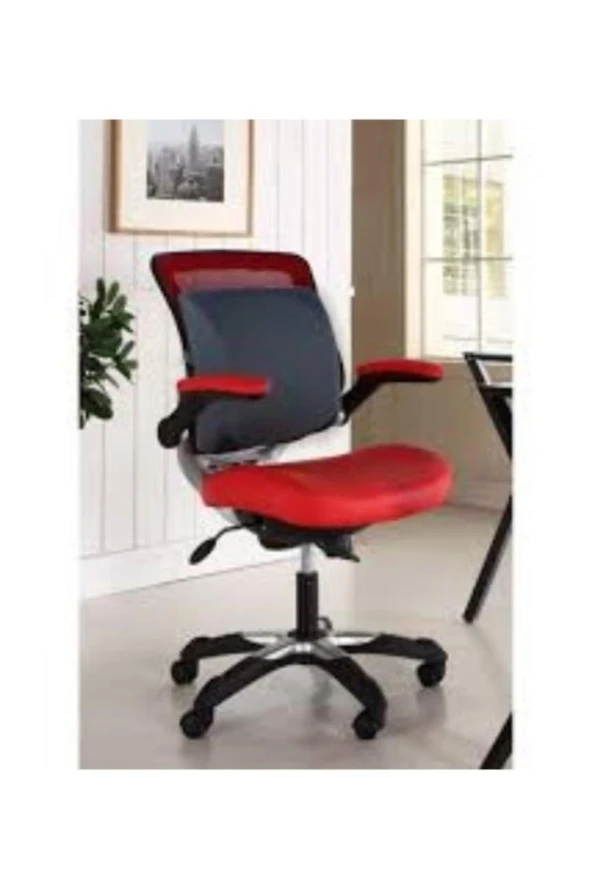 Ortopedik Lüx Sırt Bel Minderi Araç Koltuk Sandalye Bel Yastığı Bel Desteği Bel Minderi - 5