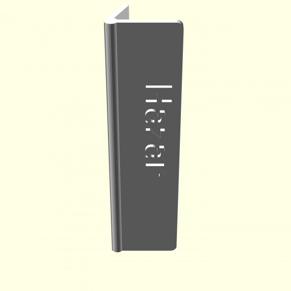 Hazar Kişiye İsime İsme Özel Üretim Masaüstü İsimlik Sevgiliye Eşe Hediyelik Masa Üstü İsimliği Sümen Ofis Hediyesi Dekoratif Organik Plastik - 3