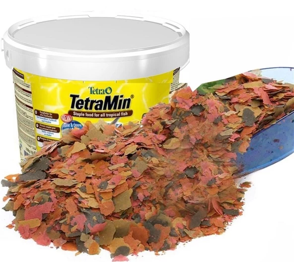 Tetra Min Flakes 100 Gr Pul Balık Yemi  (Kovadan Bölme)