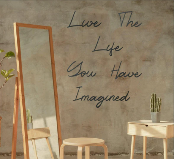 LİVE THE LİFE YOU HAVE IMAGİNED