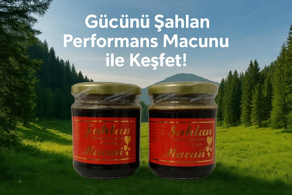 Şahlan Bitkisel Karışımlı Macun 240 gr x 2'li - Resim 2