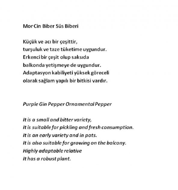 ATA TOHUMU YERLİ DOĞAL ACI MOR CİN BİBERİ 100 ADET TOHUM - 3