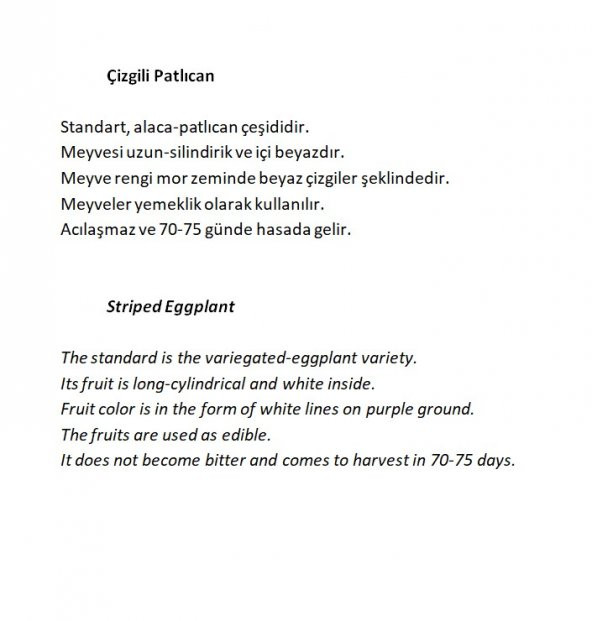 ATA TOHUMU YÖRESEL DOĞAL ÇİZGİLİ PATLICAN 100 ADET TOHUM - 2