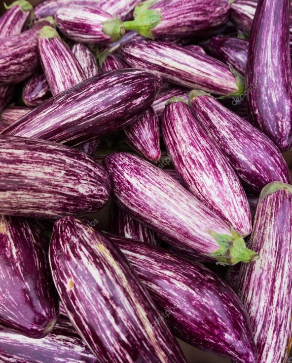 ATA TOHUMU YÖRESEL DOĞAL ÇİZGİLİ PATLICAN 100 ADET TOHUM - 3